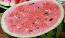 免费吃麒麟瓜,夏日清凉美食盛宴来袭！